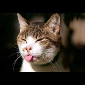 Meet your Posher, Mimi